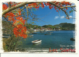 GUADELOUPE -- Les Saintes -- Anse Du Bourg -- - Saint Martin