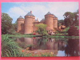 LASSAY - Le Château Féodal Et L'étang - Lassay Les Chateaux