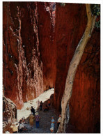 (PF 431) Australia - NT - Central Australia Standley Chasm - Non Classés