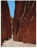 (PF 431) Australia - NT - Central Australia Standley Chasm - Unclassified