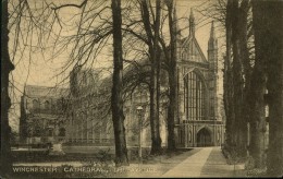 N°77 PPP 347 WINCHESTER CATHEDRAL THE AVENUE - Winchester