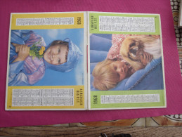 1968 CALENDRIER PTT DOUBLE FORMAT APRES LA PLUIE --SOMMEIL ET CHIEN  Cartes De Grenoble Isére 38 - Grossformat : 1961-70