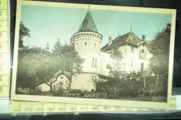 73  RUFFIEUX CHATEAU DE COLLONGES - Ruffieux