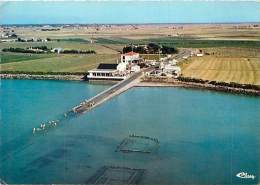 Réf : T 15 -2520 :  VUE AERIENNE DE  BEAUVOIR SUR MER LE GOIS - Beauvoir Sur Mer