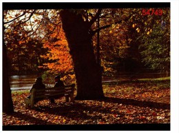 L'automne - Bomen