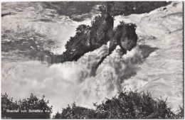 Rheinfall Vom Belvédere - Sonstige & Ohne Zuordnung