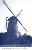 BAASRODE Bij Dendermonde (O.Vl.) - Molen/moulin - Blauwe Postkaart Ons Molenheem Van De Bookmolen Met Wieken - Dendermonde