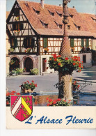 DAMBACH LA VILLE (67- Bas Rhin) Alsace Fleurie, Ckiché Phédon Salou, Ed. La Cigogne 1975 - Dambach-la-ville