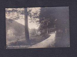 Bad Bergzabern - Kurort Bergzabern Philosophenweg ( Carte Photo Carl Herr) - Bad Bergzabern