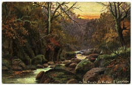 ON THE DARGLE, CO. WICKLOW / ARTIST - E. LONGSTAFFE - Wicklow