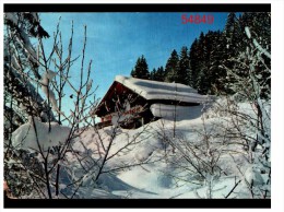 L'hiver Dans Nos Montagnes Feerie Neigeuse - Árboles