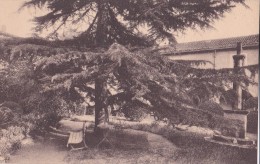 Carte 1930 Institution Notre Dame De Bressuire : Jardin Des Cloitres - Bressuire