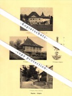 Photographien / Ansichten , 1925 , Begnins , Gingins , Crans , Prospekt , Architektur , Fotos !!! - Begnins