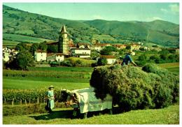 CPM  AINHOA ,  Village Type Du Pays Basque ,un Attelage De Boeufs Et Les Fermiers - Ainhoa