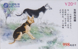 Télécarte CHINE - ZODIAQUE - Animal - CHIEN BERGER - SHEPHERD DOG Horoscope Phonecard - HUND / China Telecom - 828 - Zodiaque