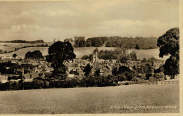 AMERSHAM  FROM  RECTORY  WOOD    (NUOVA) - Buckinghamshire