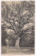 91 - Forêt De Sénard - Le Chêne Prieur - éd. Gentrot N° 7 - 1904 - Sénart