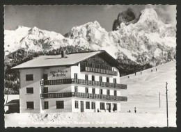 TANNHEIM Reutte Tirol Hotel Pension HOHENFELS 1966 - Tannheim