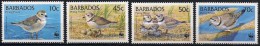 Barbados/Barbade: Corriere Canoro, (Charadrius Melodus), W.W.F. - Albatros & Stormvogels