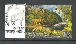 INDIA, 2015, FIRST DAY CANCELLED,  Centenary Of Zoological Survey Of India, Birds, Buffalo, Jungle, Wild,  1 V - Gebruikt