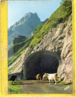 - EAUX BONNES C/ Laruns - COL D´AUBISQUE - L'entrée Du Grand Tunnel Et Le Petit Pic Du Gabizos - Vaches - Eaux Bonnes
