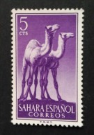 SAHARA ESPAÑOL. NUEVO - MNH ** - Spaanse Sahara