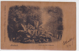 Germany - Ansbach - Partie Aus Dem Hofgarten - Wood Postcard - Ansbach