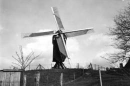 GELRODE - Aarschot (Brabant) - Molen/moulin - De Moedermeulen In 1988, Opgezeild En In Werking Kort Na De Restauratie - Aarschot