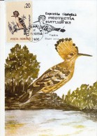 BIRDS, HOOPOE, CM, MAXICARD, CARTES MAXIMUM, 1993, ROMANIA - Spechten En Klimvogels