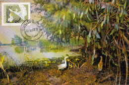 BIRDS, GREAT EGRET, CM, MAXICARD, CARTES MAXIMUM, 1977, ROMANIA - Pélicans