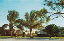 Florida Fort Lauderdale Canadian Club Apartment Motel - Fort Lauderdale