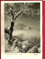 HBC-04  Villars Dans La Neige Et Dents Du Midi. Kunz, Cachet Régional Bex-Chésières 1944, Grand Format - Bex