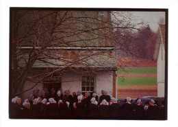 Etats Unis: Lancaster, Amish Seasons, A Sober Gathering (15-3852) - Lancaster