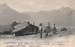 Les Ecovets. Carte Précurseur. Animée En Gros Plan. Oblitérations De Leysin Et Payerne 6.7.1904 - Ayer