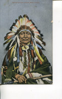 (PH 444) Very Old Postcard - Carte Ancienne - American Indian - Black Chicken - Amerika