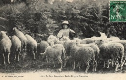 23 -  GUERET Au Pays Creusois - Petite Bergère Creusoise - Guéret