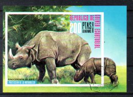 GUINEE EQUATORIALE. BF Oblitéré De 1974. Rhinocéros. - Rhinoceros