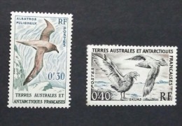 TERRITORIOS ANTARTICOS Y DEL SUR FRANCES 1959 Birds. NUEVO - MH * - Altri & Non Classificati