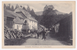 Montage Phographique Et Dessin (au Fond à Gauche)- Zwiesler Waldaus Mit Falkenstein (Attelage De Boeufs) - Zwiesel