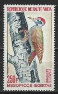 Haute-Volte 1964 Mi 153 ** MNH Mesopicos Goertae - Climbing Birds