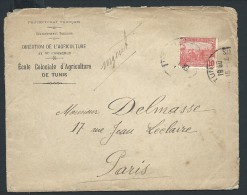 FRANCE - TUNISIE - Enveloppe De Tunis Pour Paris En 1911 - Voir Scans - Lot  P14056 - Cartas & Documentos