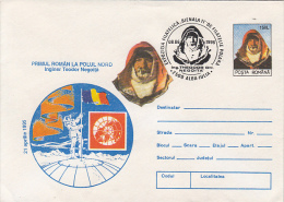 33264- TEODOR NEGOITA, FIRST ROMANIAN AT NORTH POLE, COVER STATIONERY 1996, ROMANIA - Expediciones árticas