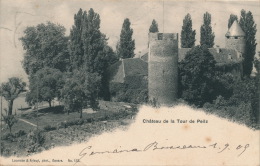 SUISSE - LA TOUR DE PEILZ - Le Château - La Tour-de-Peilz