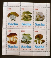 RUSSIE-URSS. CHAMPIGNONS, CHAMPIGNON, MUSHROOM 1 Bloc 6 Valeurs Emis En  1996. MNH, Neuf Sans Charniere - Mushrooms