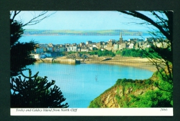 WALES  -  Tenby And Caldey Island  Unused Postcard As Scan - Pembrokeshire
