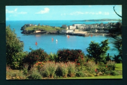 WALES  -  Tenby  The Harbour  Unused Postcard As Scan - Pembrokeshire