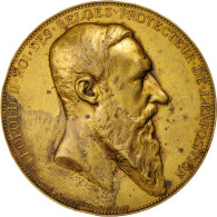Belgique, Medal, Arts & Culture, 1885, Wiener, TTB, Cuivre - Andere & Zonder Classificatie