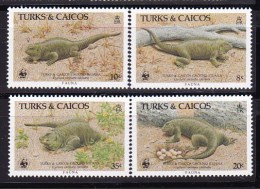 1986 Turks & Caicos Islands - WWF Fauna 4v., Iguanas, Reptiles, Scott 710/13 Mi 777/80 Yv 758/61 MNH - Geography