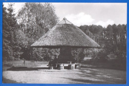 Deutschland; Buckow; Märkische Schweiz; Kurpark - Buckow