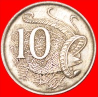 * LYRE BIRD (1966-2022): AUSTRALIA ★ 10 CENTS 1967! LOW START★ NO RESERVE! - 10 Cents